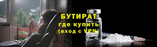 прущие грибы Карпинск