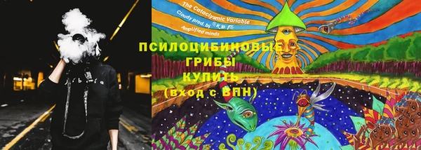 прущие грибы Карпинск